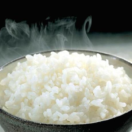 [岩手米 令和5年産] 無洗米 岩手県産 銀河のしずく ピロータイプ平袋入 日本全国銘米シリーズ