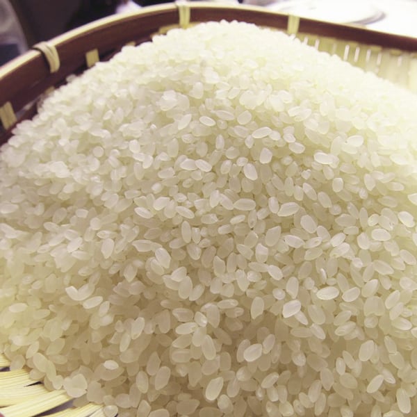 ⑤ささにしき さま 専用です✨ ササニシキ 5kg」の人気商品一覧 | 安い商品を通販サイトから