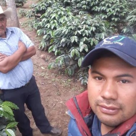 Guatemala -Misty Summit-