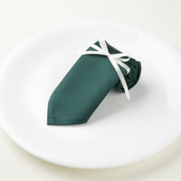 【カラーナプキン】モスグリーン