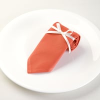 【カラーナプキン】テラコッタ