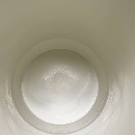 braun pitcher