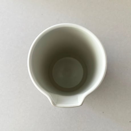 braun pitcher