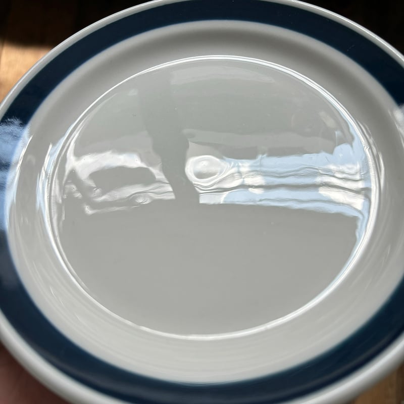 アラビア　ピチカート　水色　17cm プレート　2枚 アラビア ピチカート 水色 17cm プレート 2枚 可愛いお皿