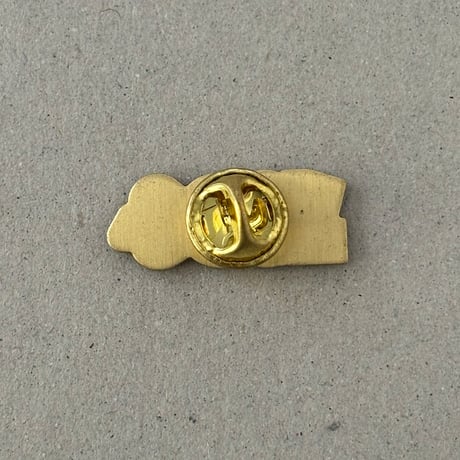 109 phone pin