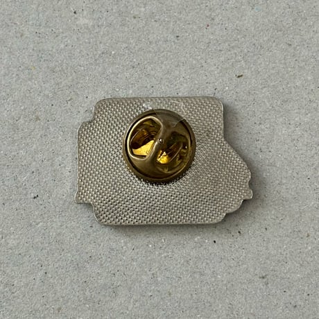 poliisi pin