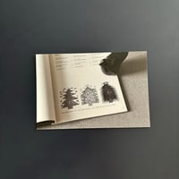 original postcard Christmas