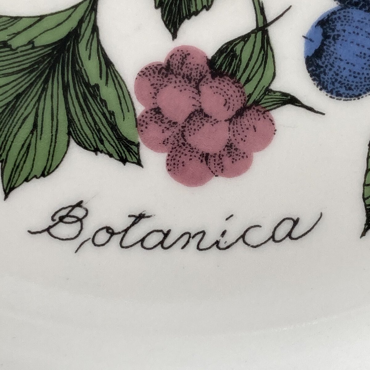 arabia botanica plate Esteri Tomula | retro number