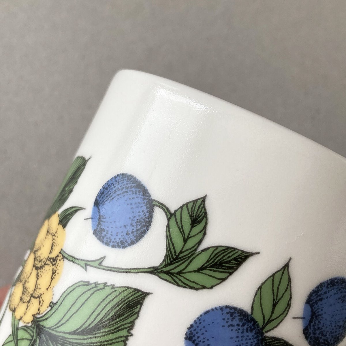 arabia forteマグ botanica | retro number