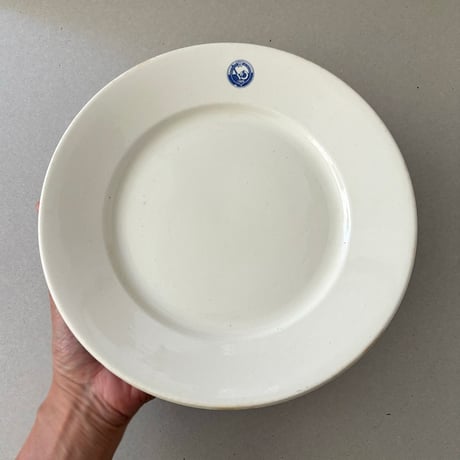 arabia plate 24cm VO 1906 生成