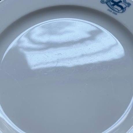 Finland national flag plate germany