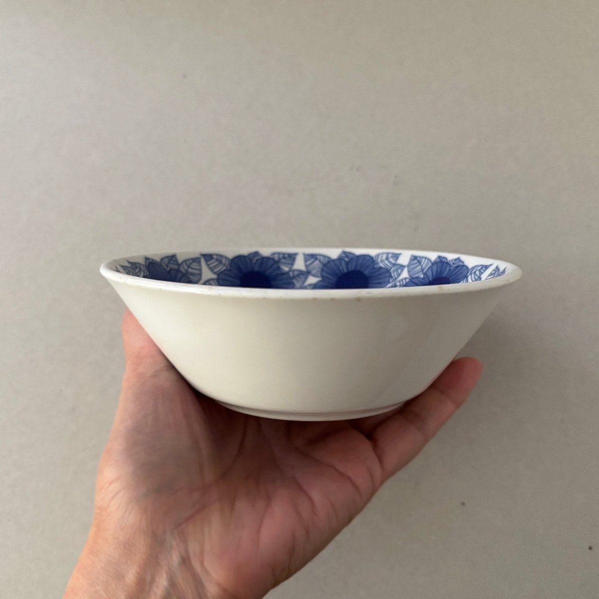 ARABIA Esteri Tomula Vegeta ボウル ARABIA Esteri Tomula Vegeta ボウル ARABIA Esteri Tomula Vegeta