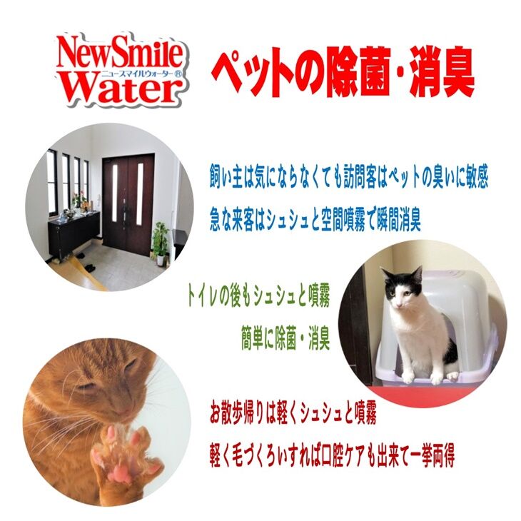 弱酸性次亜塩素酸精製水 ニュースマイルウォーター 500ppm 10L | かぐのいち