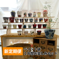 【新定期便】ペイント鉢１年間お楽しみセット