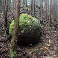 シーズン３／４３話 「森と大地 〜崩壊地を歩く〜／ゲスト：後誠介さん」2023年7月20日