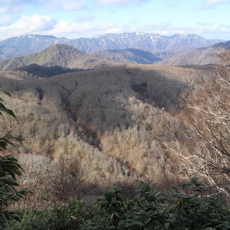 シーズン４／０３話「白神山地、行きます  」2023年10月5日20時〜