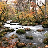 シーズン４／０１話「日本中の紅葉、大集合！」2023年9月7日20時〜