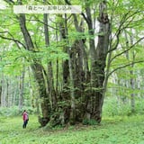 みんなの森のサロン
