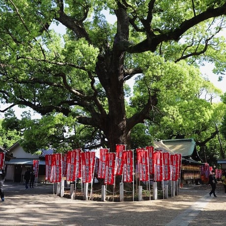 シーズン３／４０話「名所図会を旅する・大阪編」2023年6月22日