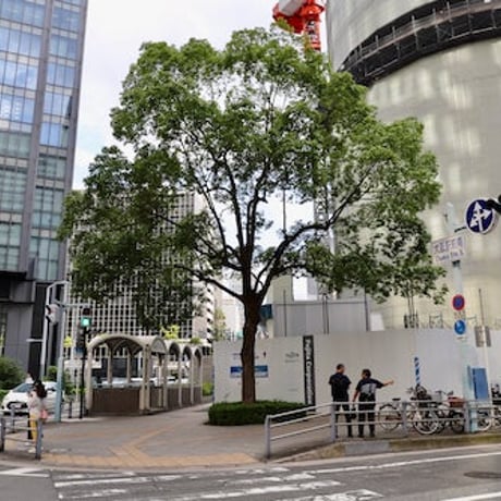シーズン４／２１話「西日本最大級の繁華街 〜 梅田の森 〜 大阪③」2024年7月4日 20時〜