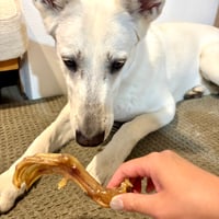 鴨 もみじ