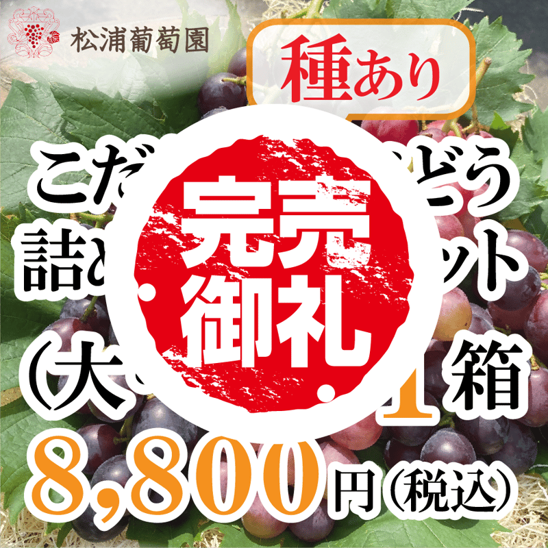 ぶどう農園直送⚠️さま用 vuvvセット ぶどう農園直送⚠️さま用 vuvv