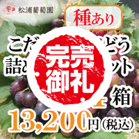 LEO ぶどう詰め合わせ こだわりの種ありぶどう詰め合わせセット（中）【1箱】 | 松浦