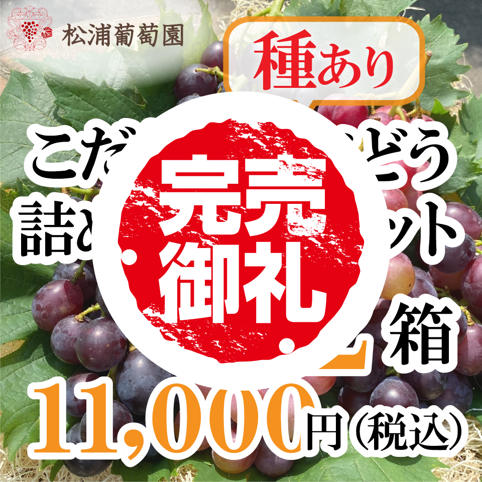 ぶどう農園直送⚠️さま用　vuvvセット こだわりの種ありぶどう詰め合わせセット（大）【2箱】 | 松浦