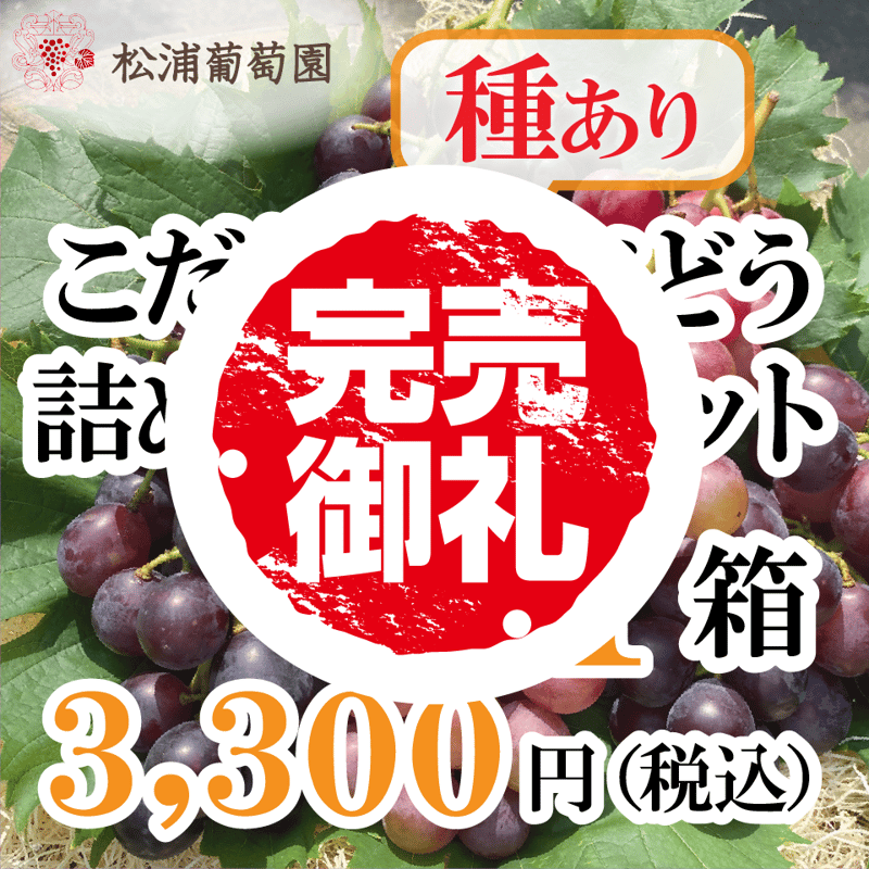 こだわりの種ありぶどう詰め合わせセット（中）【1箱】 | 松浦葡萄園