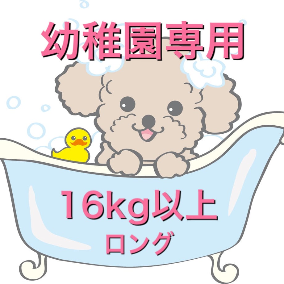 5fcf1f72b00aa369e825fd94