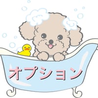 オプション(シャンプー)