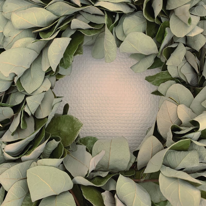 専用＊プロテア&アマランサス　シックなフェイクリース フェイジョアリース | AKAHIRA