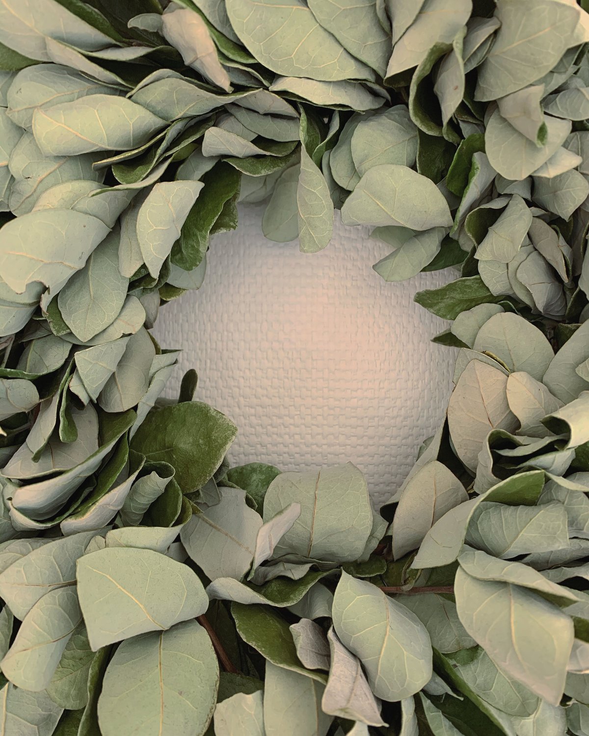 フェイジョアリース | AKAHIRA