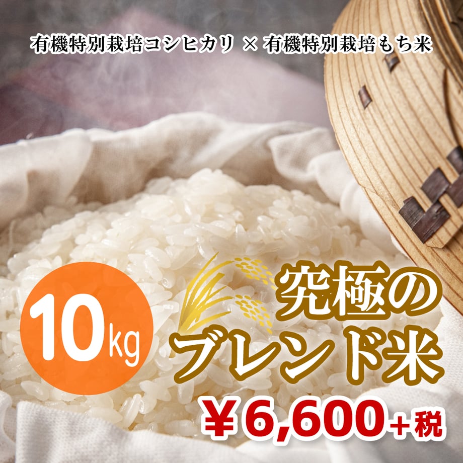 669a6917d8e56a0ec41058ae