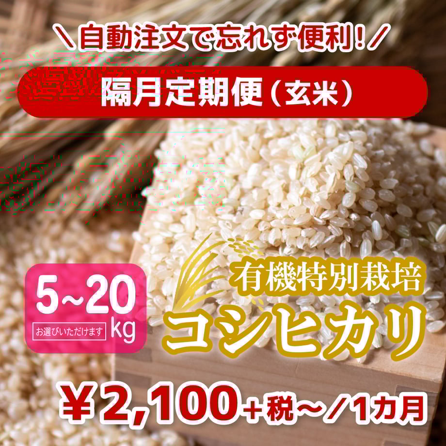66d7124a467cc70da739a498