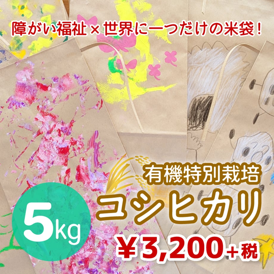 669df5e654f0950197cf89c9