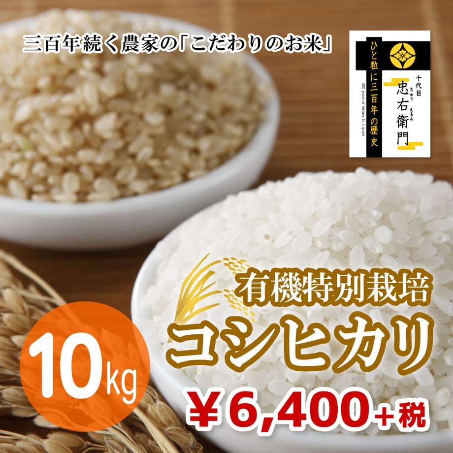 5fc253dddf51597cf7d20273