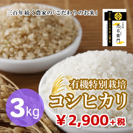 コシヒカリ 玄米 30kg 魚沼産コシヒカリ 一等米 2025 令和7年 新米 