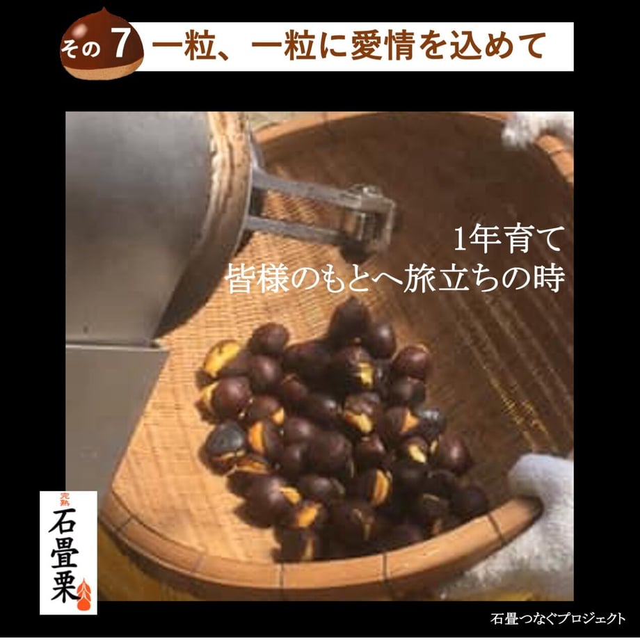616e1ef02b3ca16a095e6638