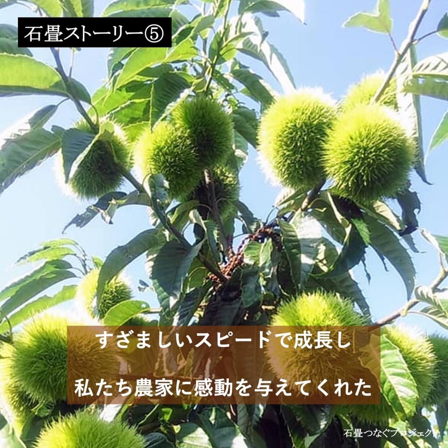 5fd74c76f0b1085a498bf9dc