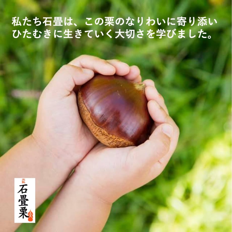 616e1ef02b3ca16a095e6638