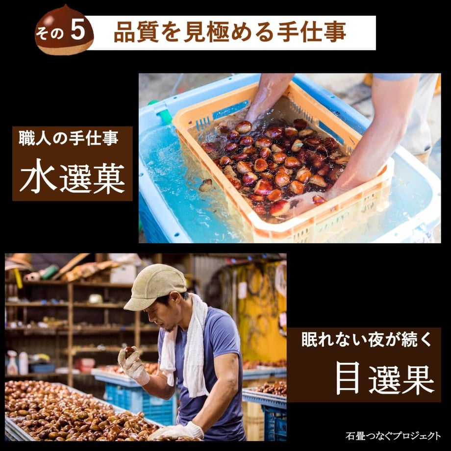 5fd74c76f0b1085a498bf9dc