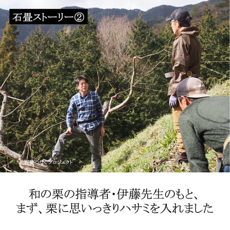 完熟石畳栗のお待ちかねジェラート［6個セット（冷凍発送）］