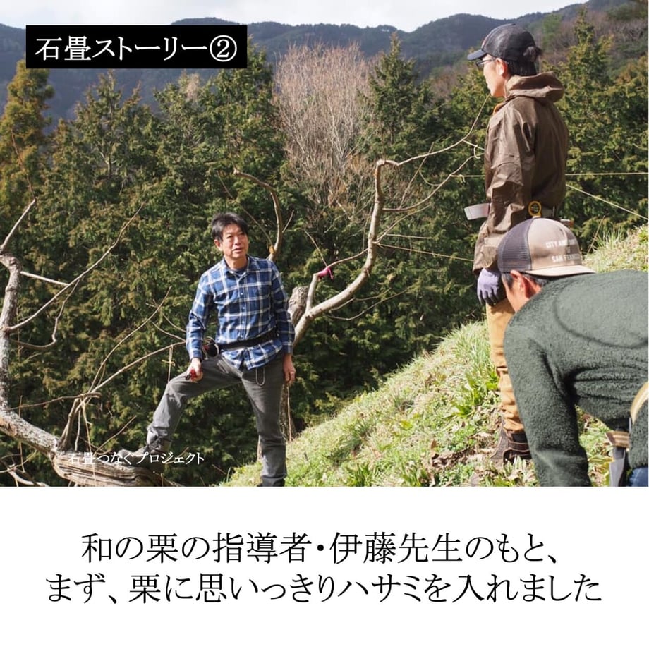 5fd74c76f0b1085a498bf9dc
