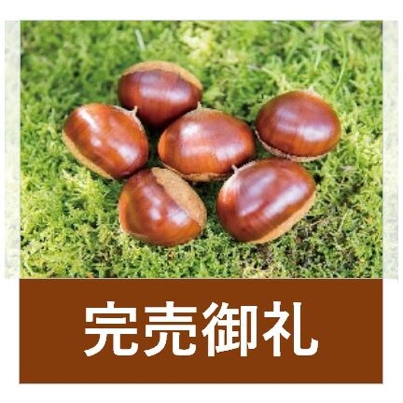 北海道産　果物　生栗　4キロ