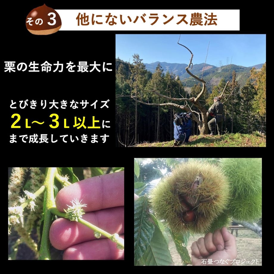 616e1ef02b3ca16a095e6638