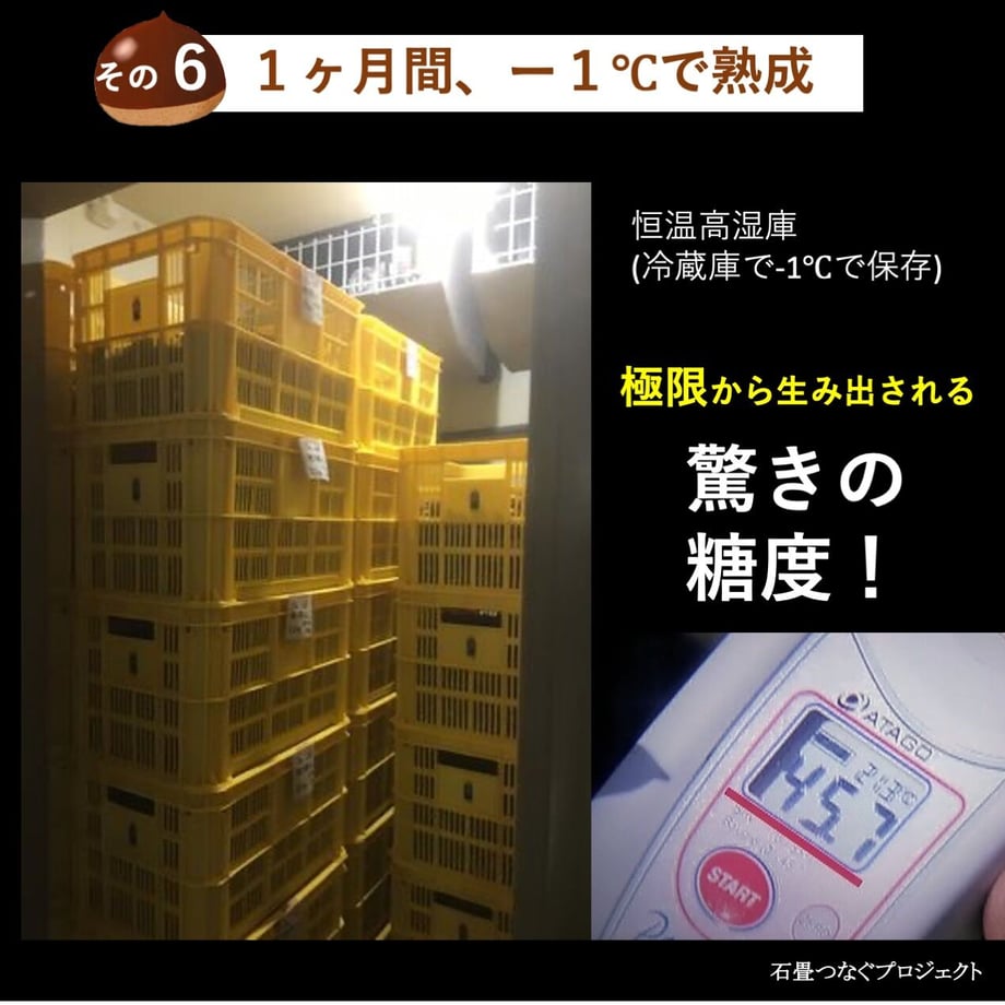 5fd74c76f0b1085a498bf9dc