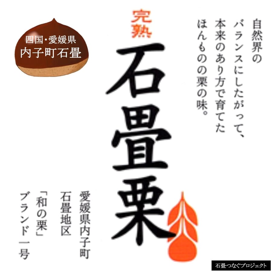 616e1ef02b3ca16a095e6638