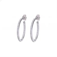 ハイカーボンダイヤモンド mini hoop ピアス