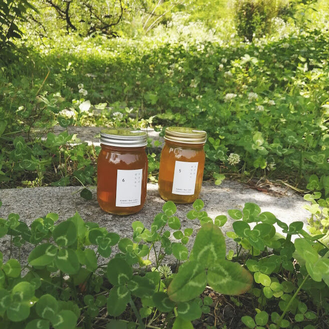 6月のはちみつ540g | KURARI